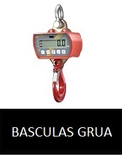 BASCULAS GRUA